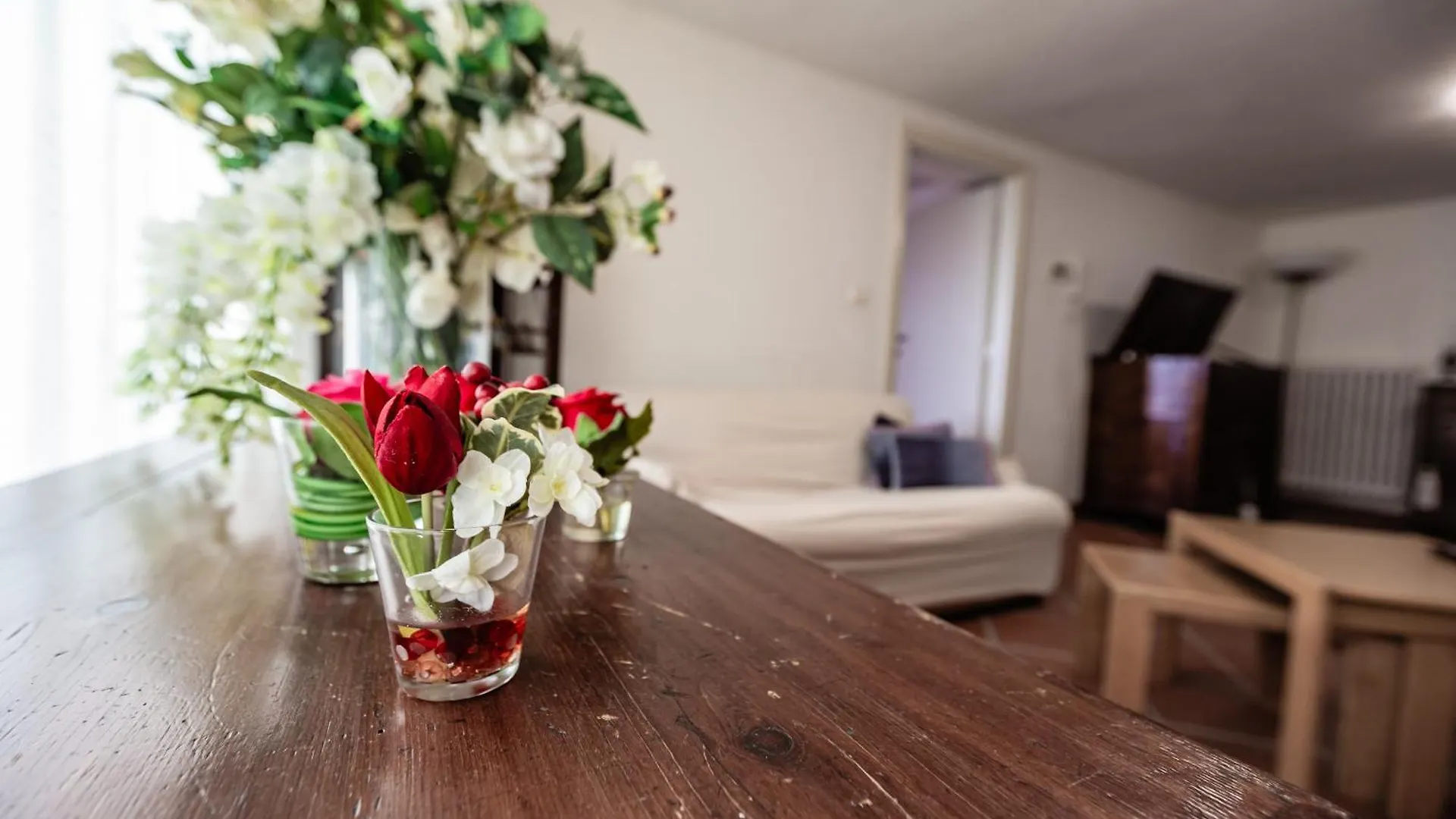 Casa Summer Cecina  Apartment