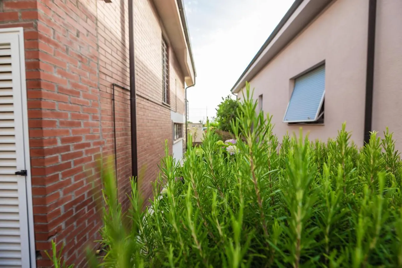 Casa Summer Cecina  Apartment